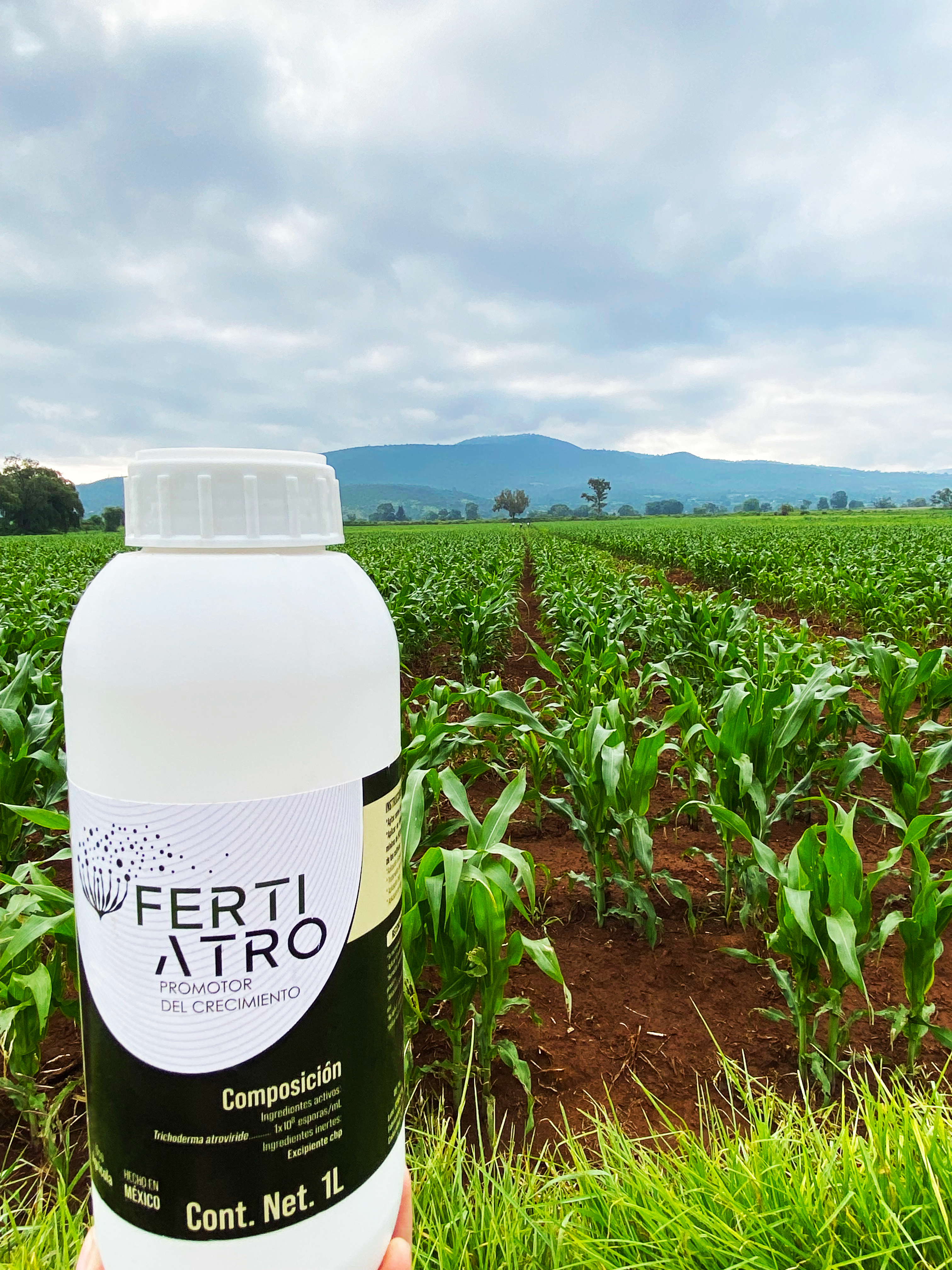 Fertiatro en campo de maíz - Agente de biocontrol de MVP Bioagro