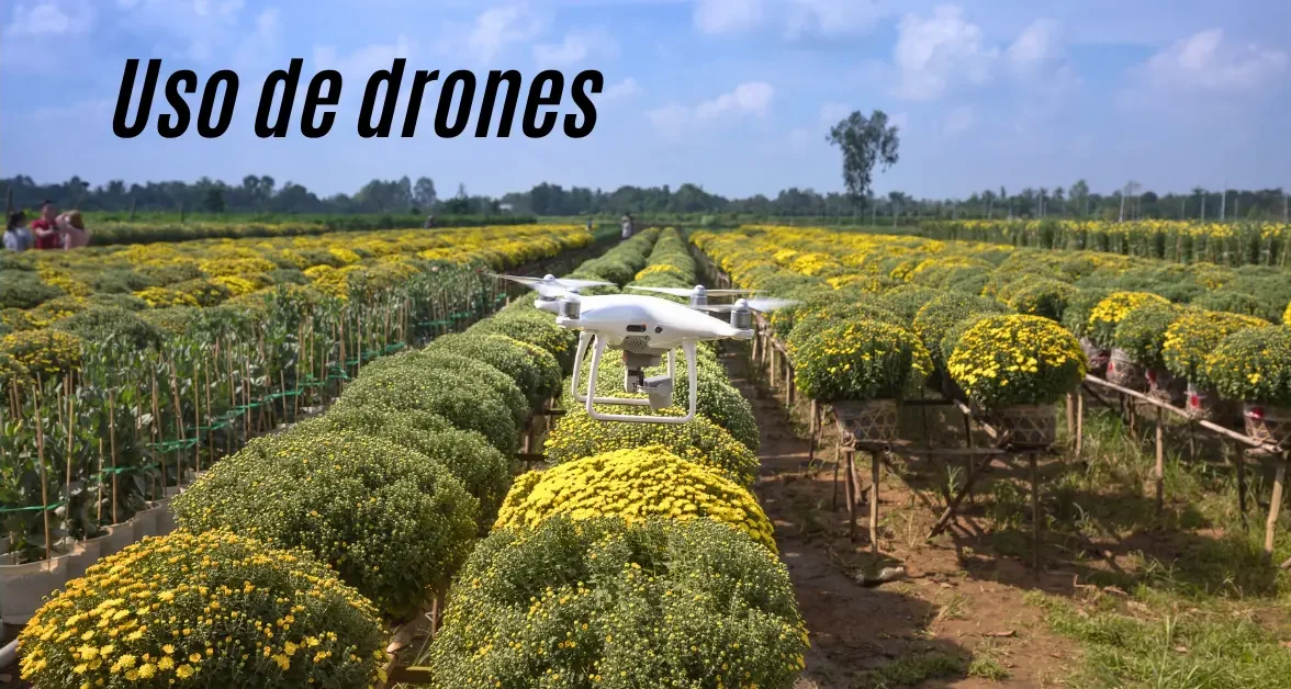 Drone utilizado en agricultura de precisión para monitoreo de cultivos, optimizando el uso de recursos mediante biotecnología agrícola.